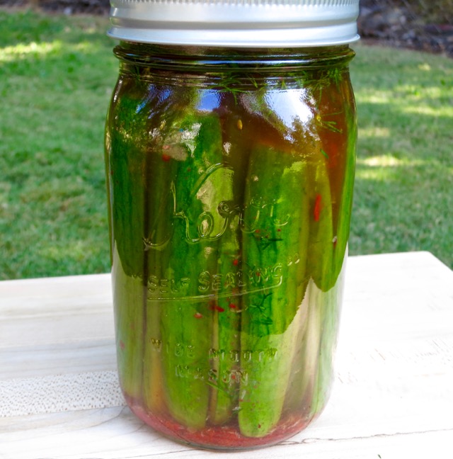 Quick Aleppo Dill Pickles