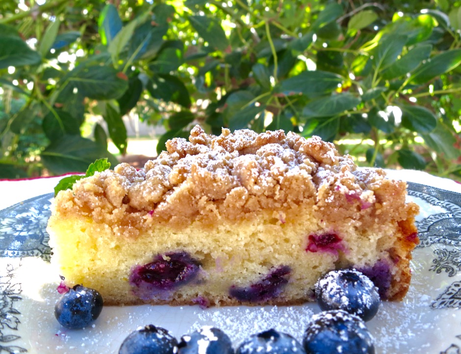 blueberry cake - 1 (4)
