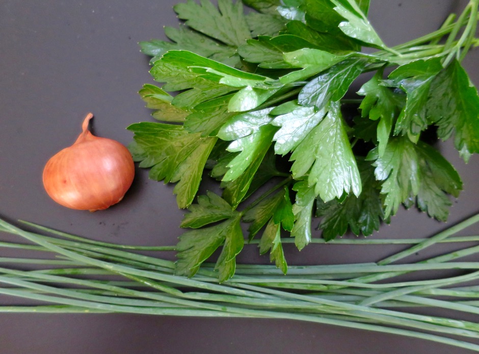 Shallot, Parsley, Chives 