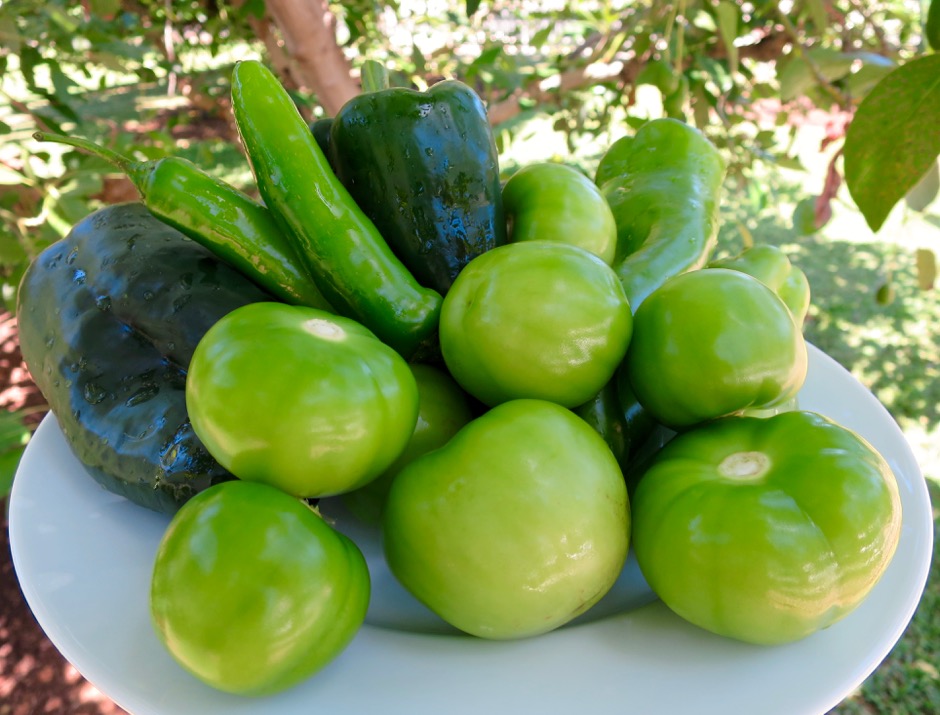 Chiles & Tomatillos 