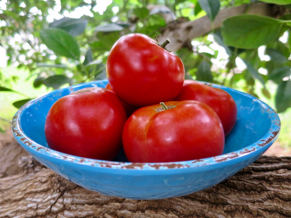 Homegrown Tomatoes