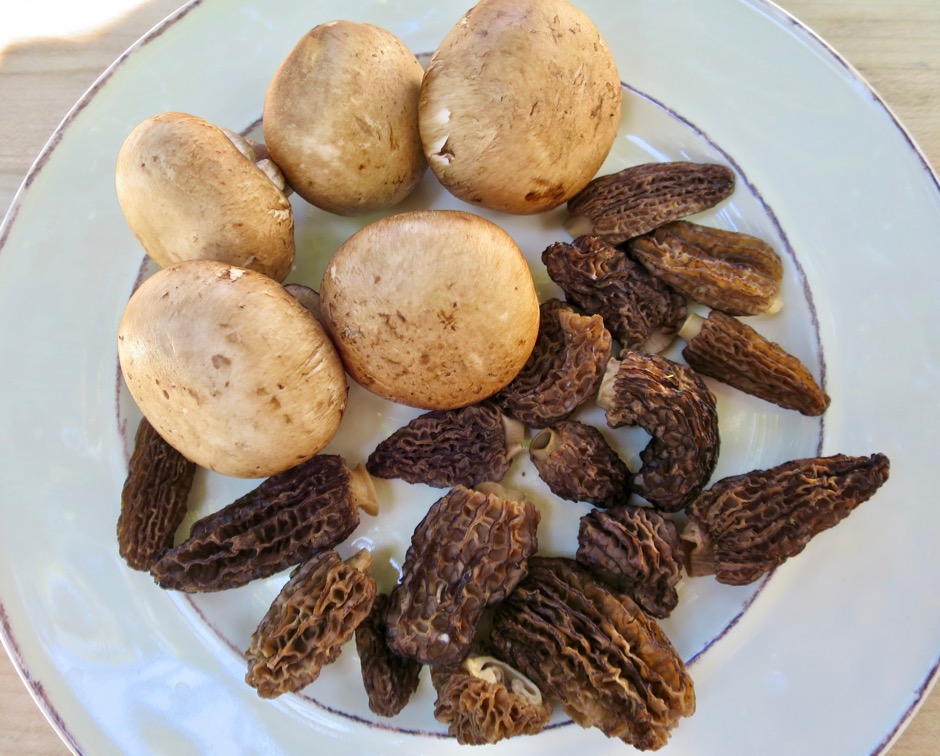 Cremini & Morel Mushrooms