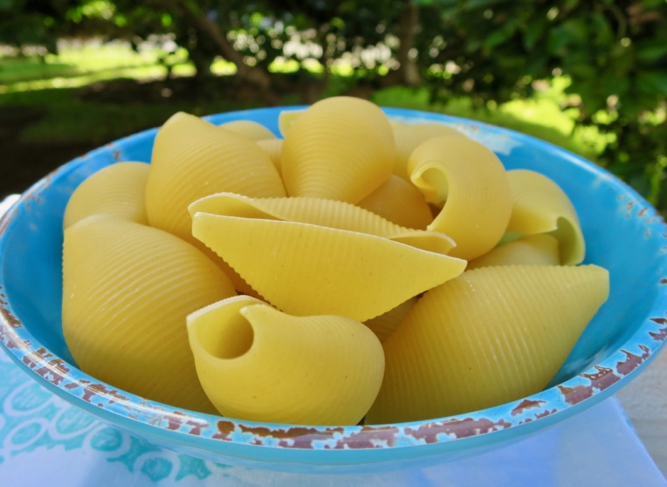 Barilla Jumbo Pasta Shells