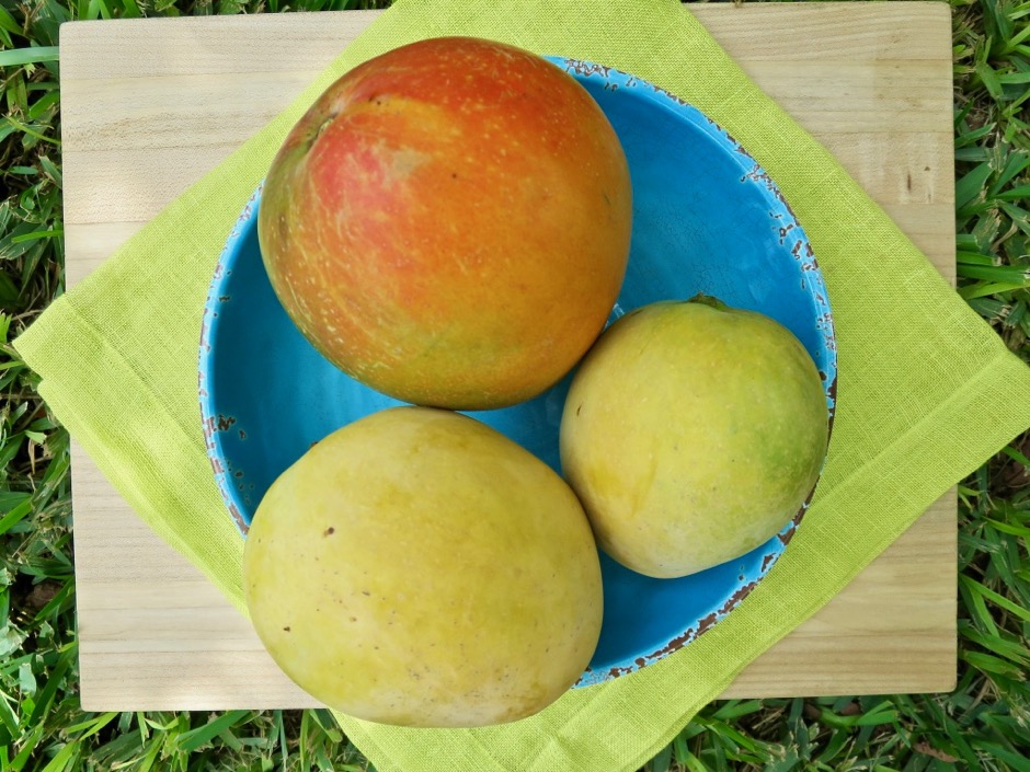 Pirie and Rapoza Mangos