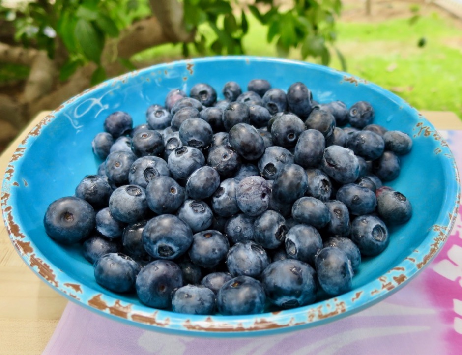 Blueberries