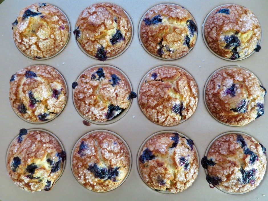 Crisp Sugar Topped Blueberry Muffins