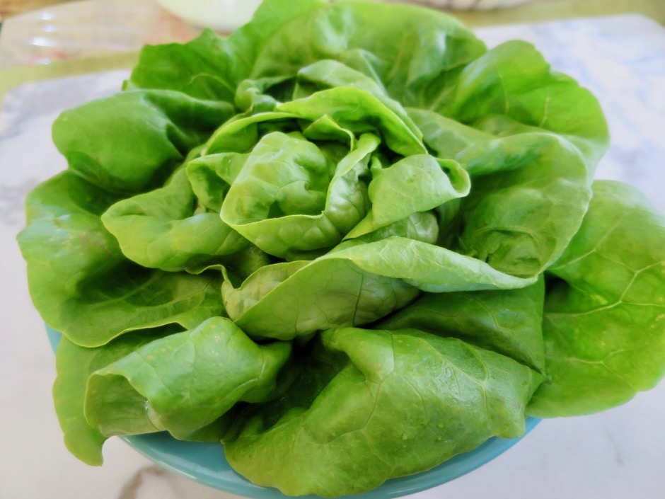 Butter Lettuce