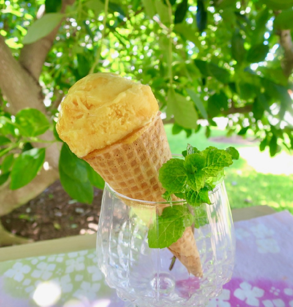 Mango-Lilikoi Ice Cream