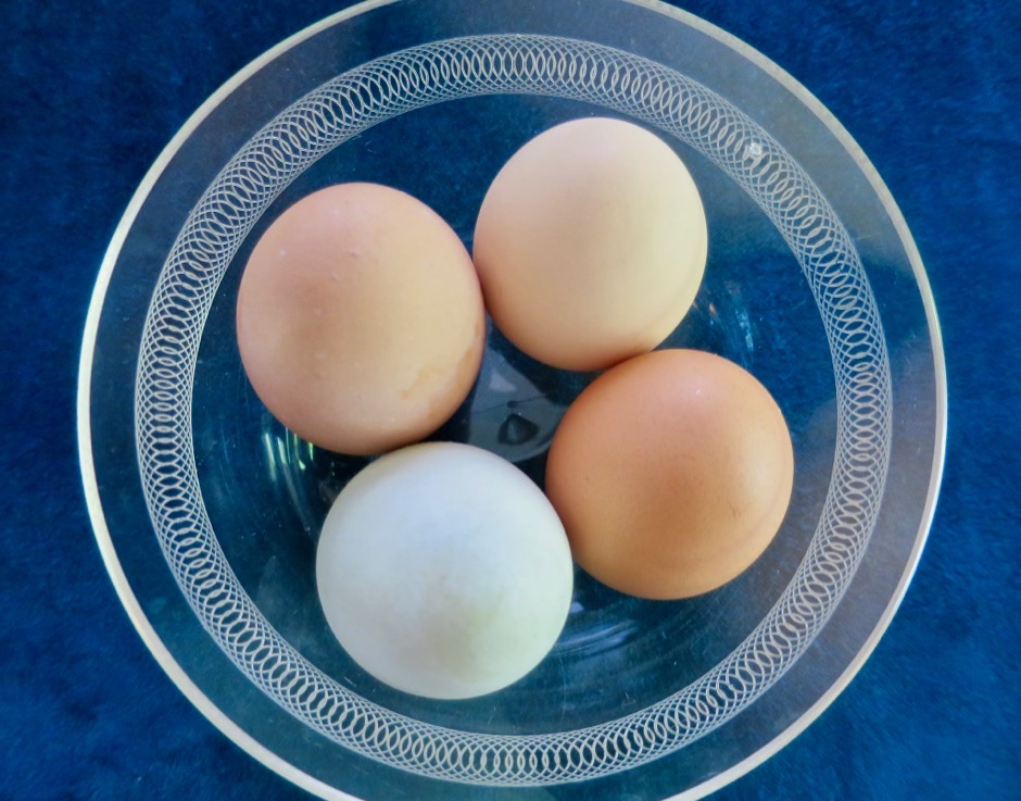 Our Neighbor's Fresh Eggs