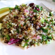 Quinoa Salad with Cranberries, Cilantro, Cucumbers & Radicchio