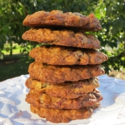 Oatmeal Cookies with Chocolate Chunks, Pecans, Dried Cranberries and Sweet Coconut